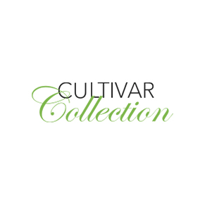 Cultivar Collection Cannabis Brand Logo