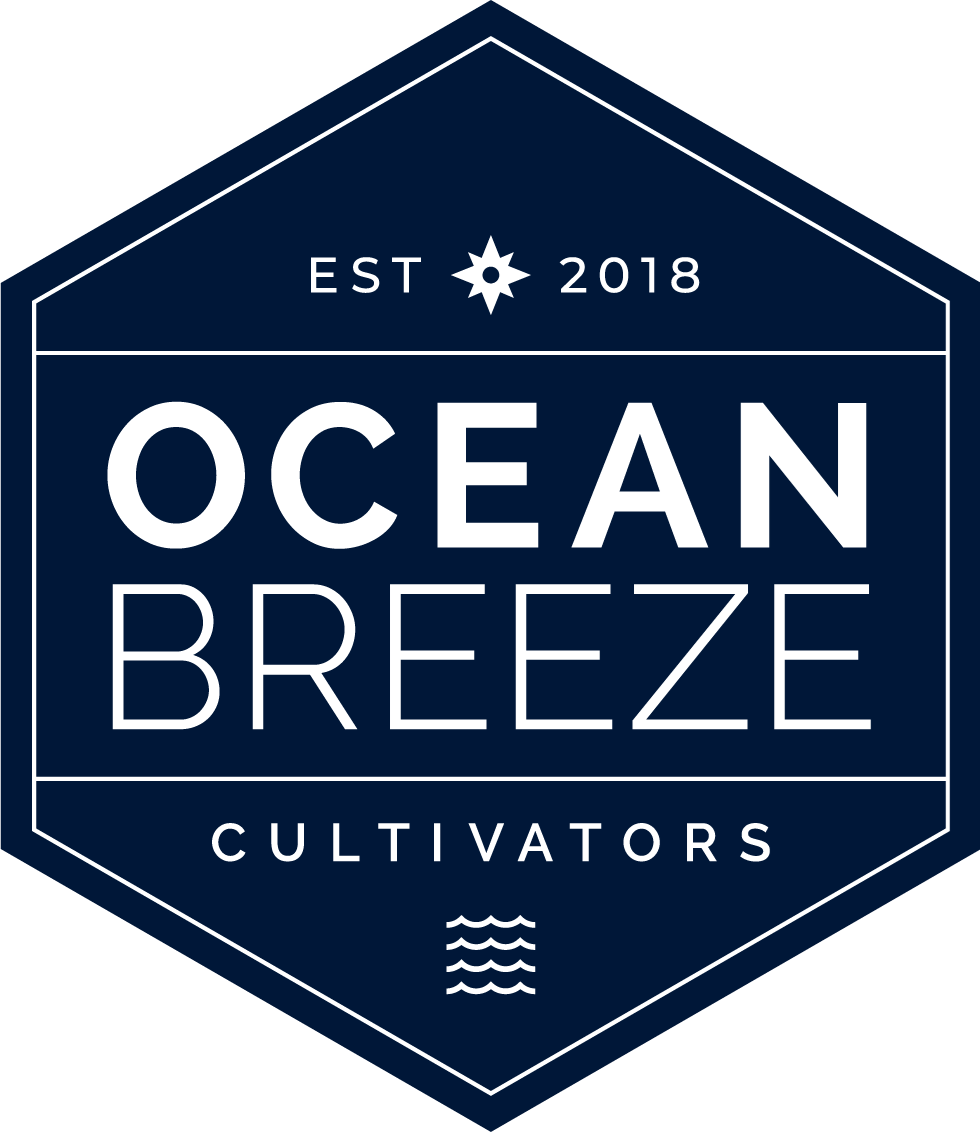 Ocean Breeze Cannabis Brand Logo
