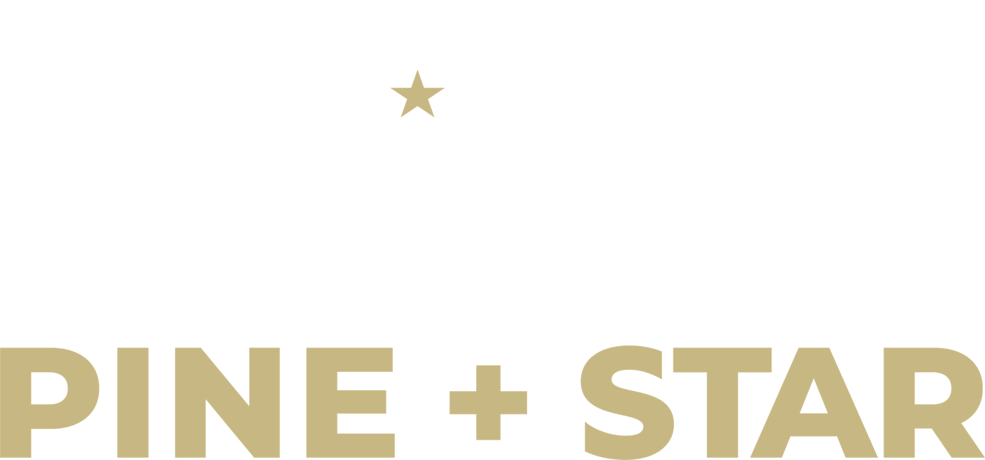 Pine + Star Cannabis Brand Logo