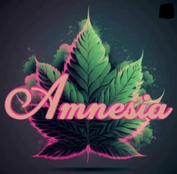 Amnesia Cannabis Brand Logo