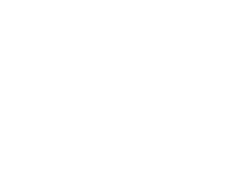 Cruisers Cannabis Brand Logo