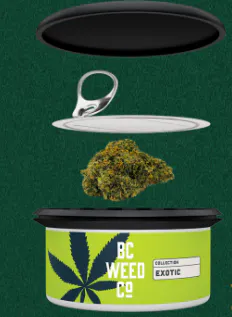 BC Weed Co Cannabis Brand Logo