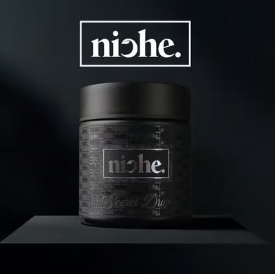 Niche Logo