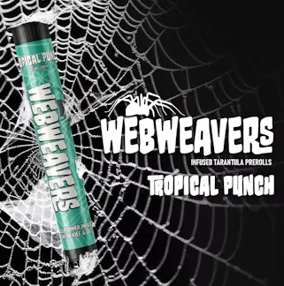 Web Weavers Cannabis Brand Logo
