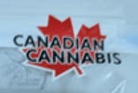 Canadian Cannabis Cannabis Brand Logo