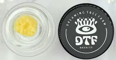DTF Hash Co. Cannabis Brand Logo