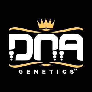 DNA Genetics Cannabis Brand Logo