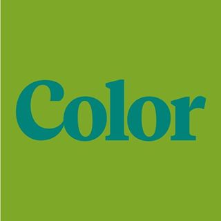 Color Cannabis Cannabis Brand Logo