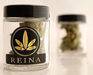 Reina Cannabis Brand Logo