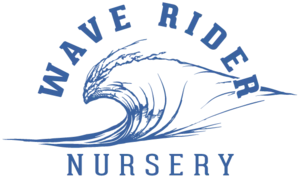 Wave Rider Nursery Cannabis Brand Logo