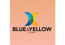 Blue and Yellow Cannabis Brand Logo