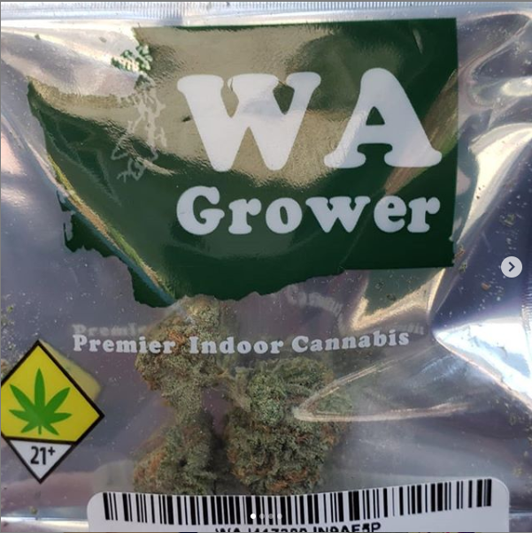 WA Grower Cannabis Brand Logo