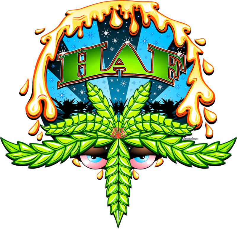 Hash and Flowers Cannabis Brand Logo